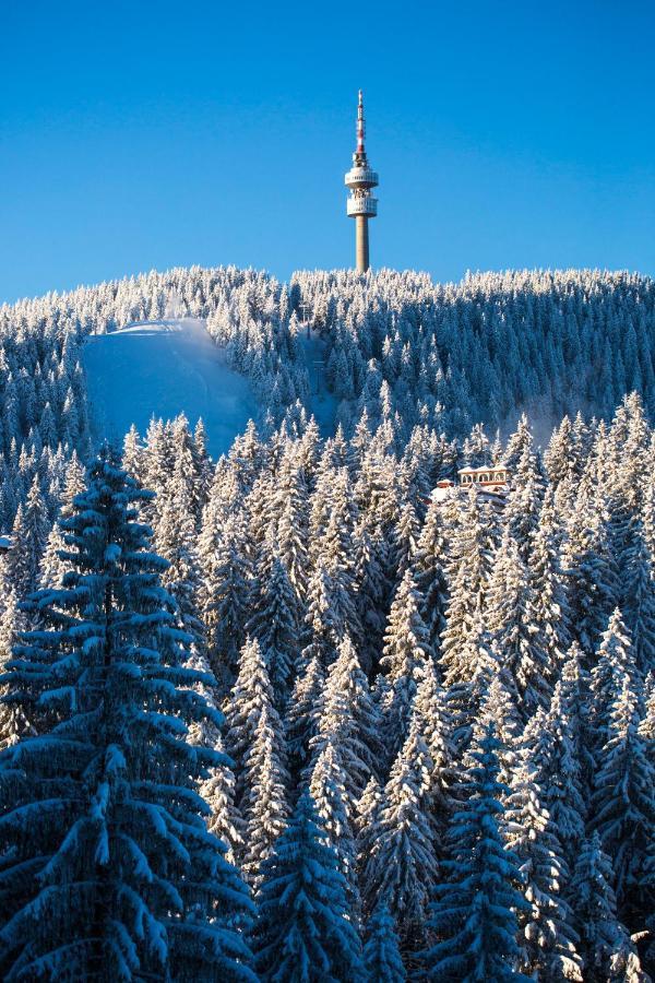 Sunny Hills Ski&Wellness Пампорово Экстерьер фото