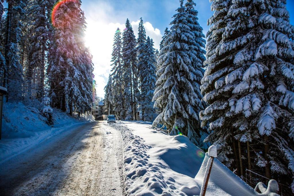 Sunny Hills Ski&Wellness Пампорово Экстерьер фото