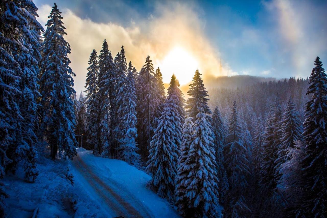 Sunny Hills Ski&Wellness Пампорово Экстерьер фото